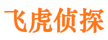 民权侦探